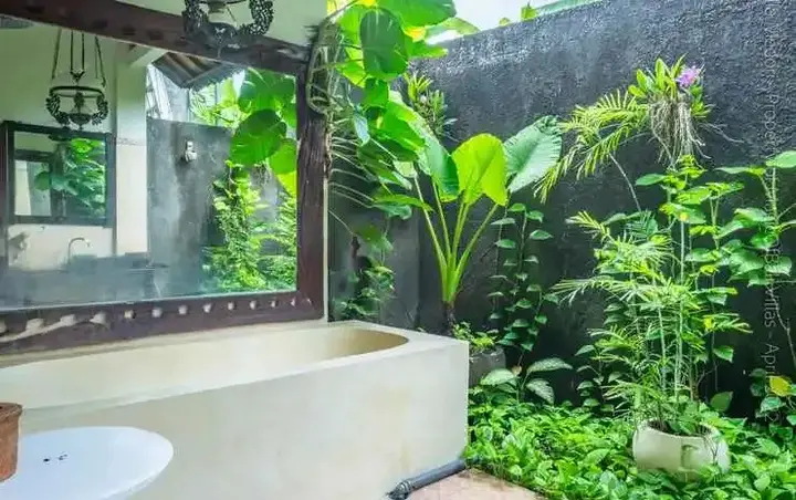 Кута: Medori Villa