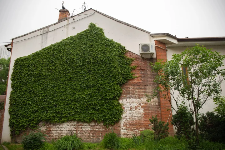 Владивосток: Апартаменты Gagahouse