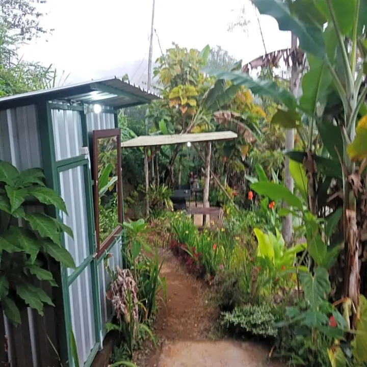 Батурити: ECO Bedugul adventurer camp