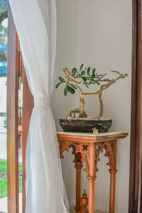Унгасан: Villa Asmara