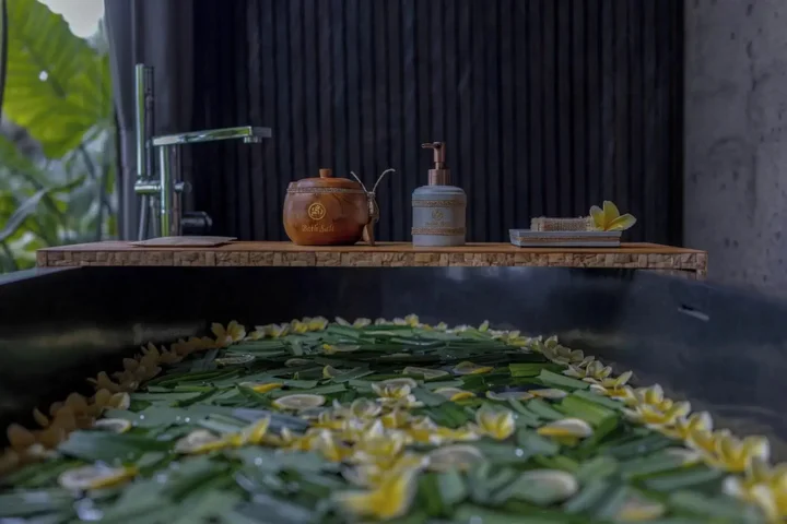 Убуд: GDAS Bali Health and Wellness Resort