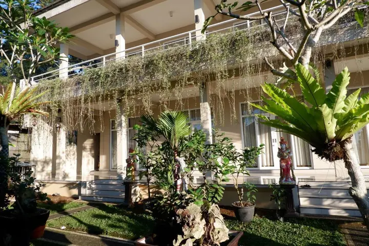 Джатилуви: Gunza Bed and Breakfast