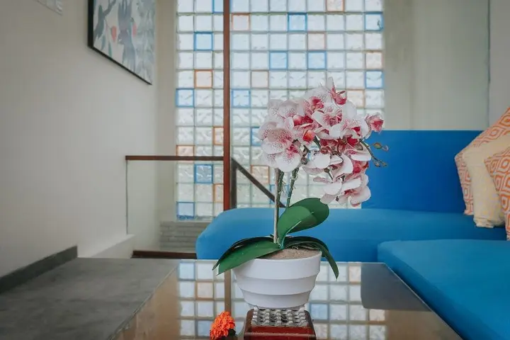 Керобокан: The Wina Villa Seminyak