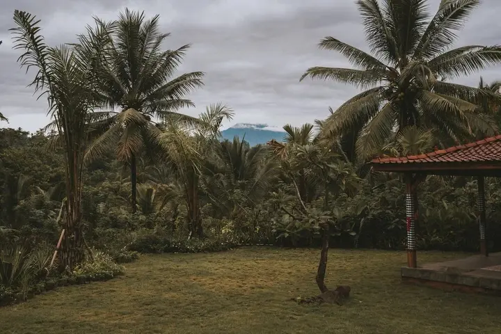 Селемадег: Kusfarm Bali by AHM