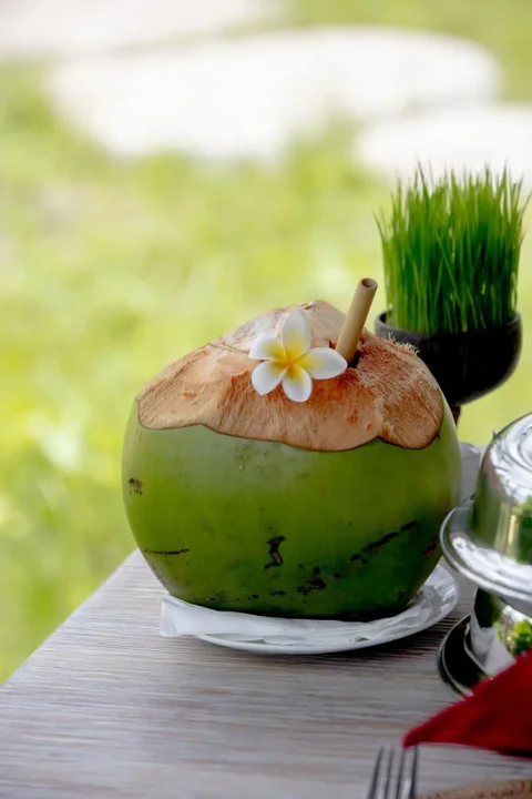Убуд: Anumana Village Ubud