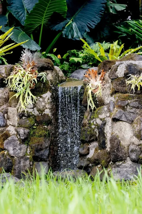 Убуд: Anumana Village Ubud