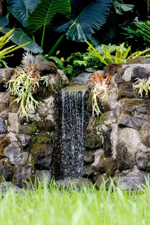 Убуд: Anumana Village Ubud