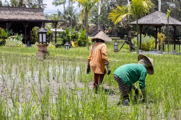 Убуд: Anumana Village Ubud