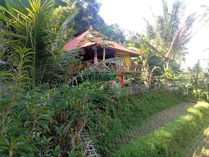 Babahan Farmstay — фото 1