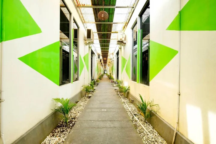 Депок: OYO 91240 Jogja Amazon Green 2