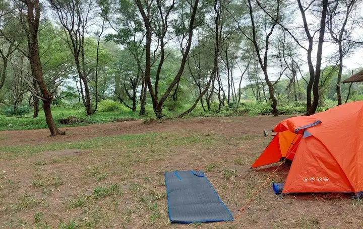 Goa Cemara Camping Ground — фото 4