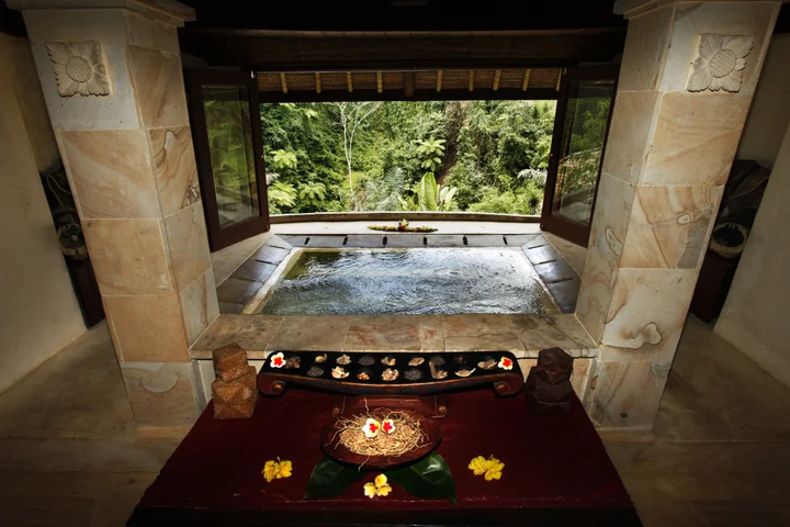 Тембок: Bagus Jati Health & Well Being Retreat
