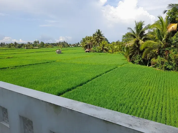 Убуд: Casablanca Ubud Boutique Hotel