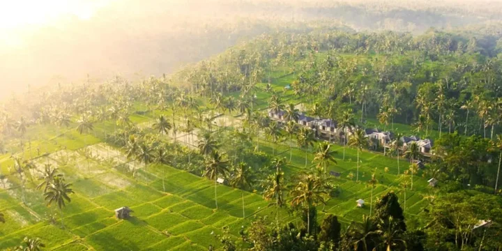 Тембок: Stanagiri Villas Ubud