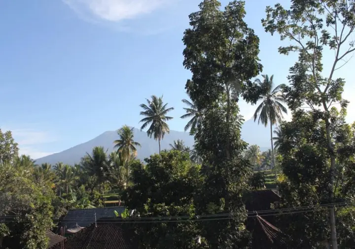 Прайя: Link Homestay Foods & Drinks