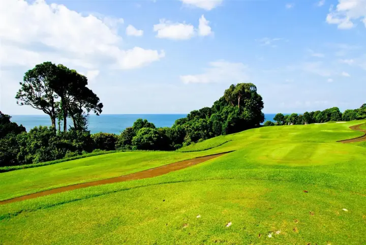 Остров Пеньенгат: d'primahotel Bintan