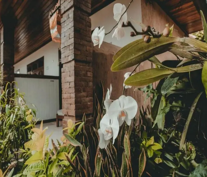 Табанан: Sekar Arum Riverside Resort in Canggu by ZUZU
