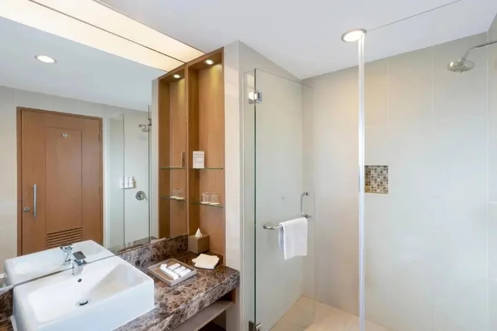 Палангкарая: Swiss-Belhotel Danum Palangka Raya