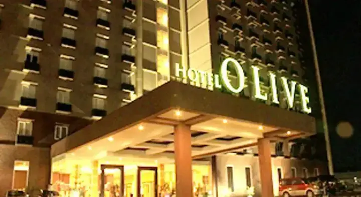 Hotel Olive — фото 1