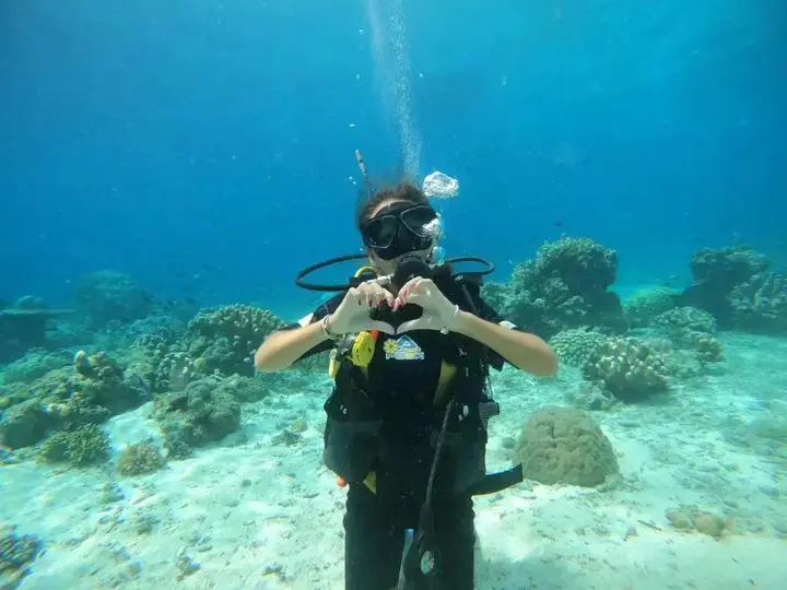 Вори: 4 Sisters Divers