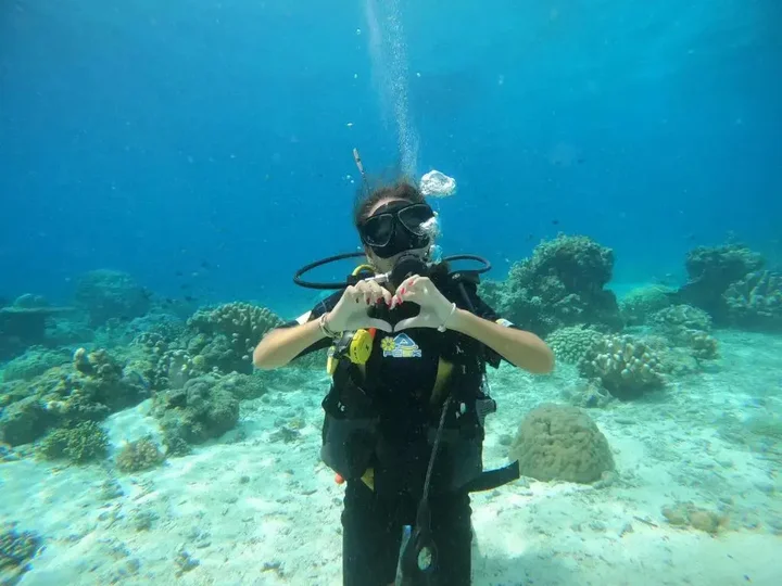 Вори: 4 Sisters Divers