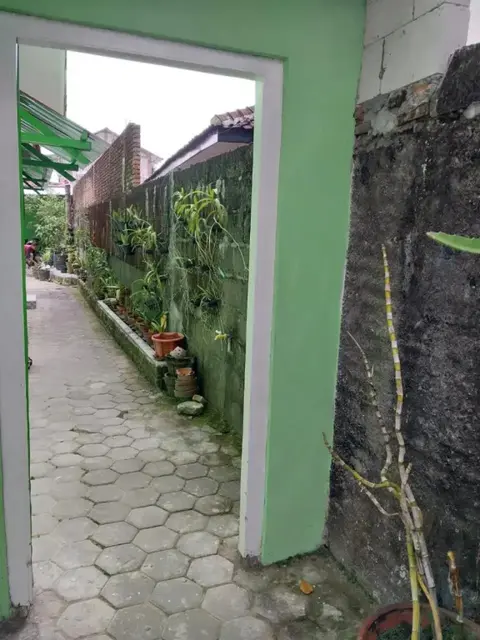 Джокьякарта: Omah 365 Homestay