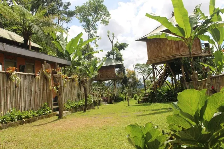 Батурити: Bali Tree House Pelangi