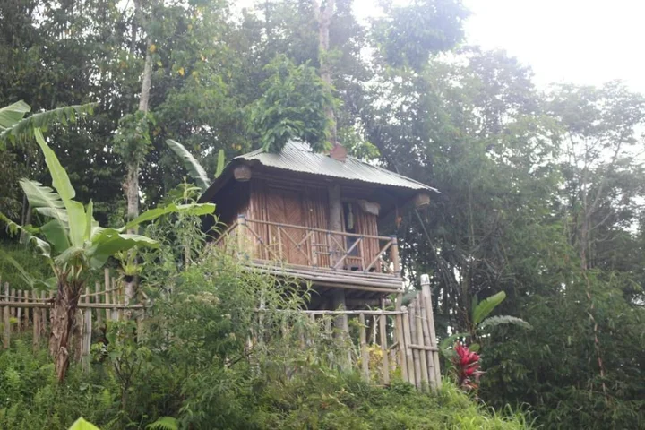 Батурити: Bali Tree House Pelangi