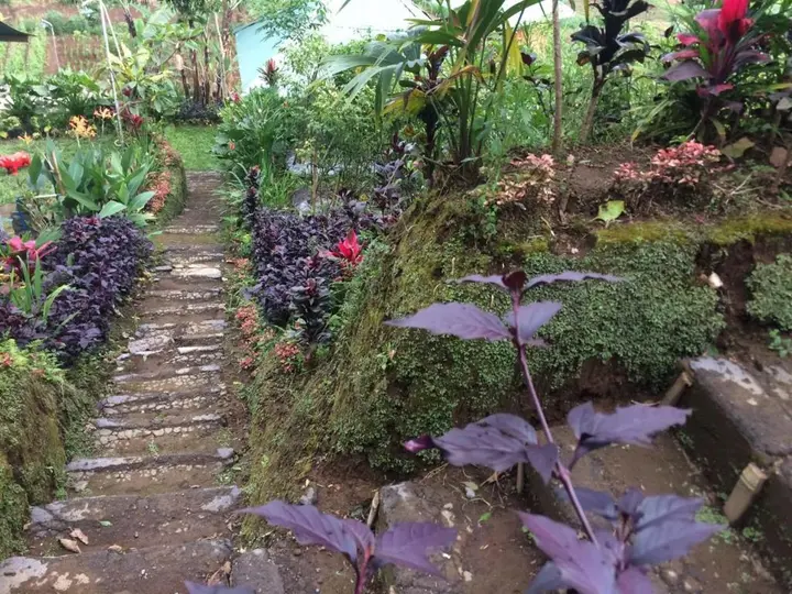 Батурити: Bali Tree House Pelangi