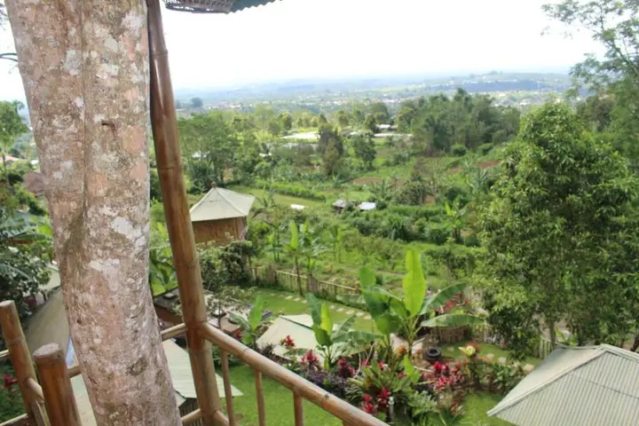 Батурити: Bali Tree House Pelangi