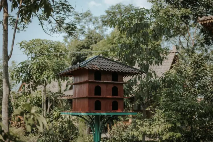 Семаранг: Keboen Ndalem Homestay