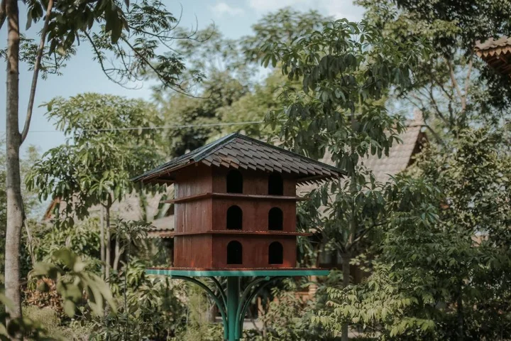 Семаранг: Keboen Ndalem Homestay