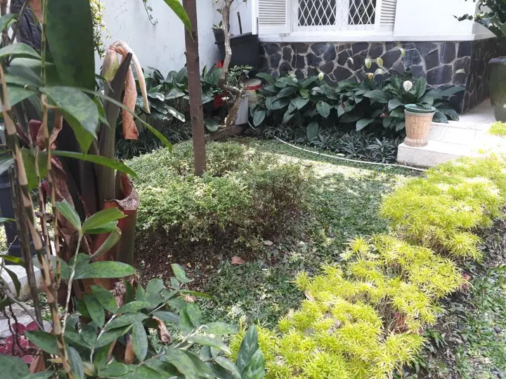 Богор: Kirana Guest House Bogor