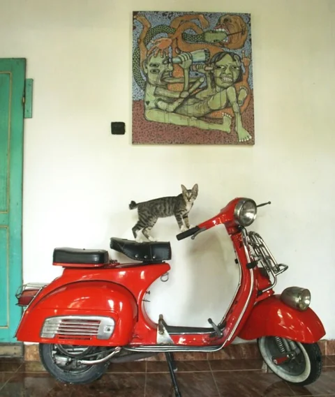 Батуретно: Kosala Jogja - Hostel