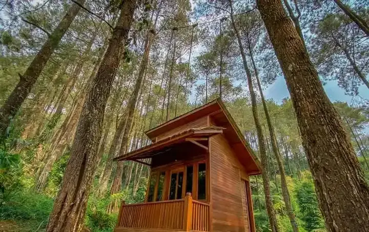 Сизаруа: Kampung Rimba by Anrha