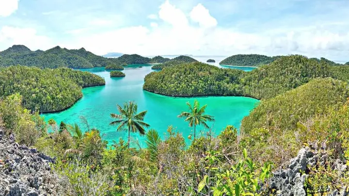 Raja ampat travel — фото 2