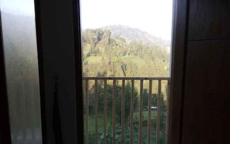 Надисари: Casa Bromo Homestay