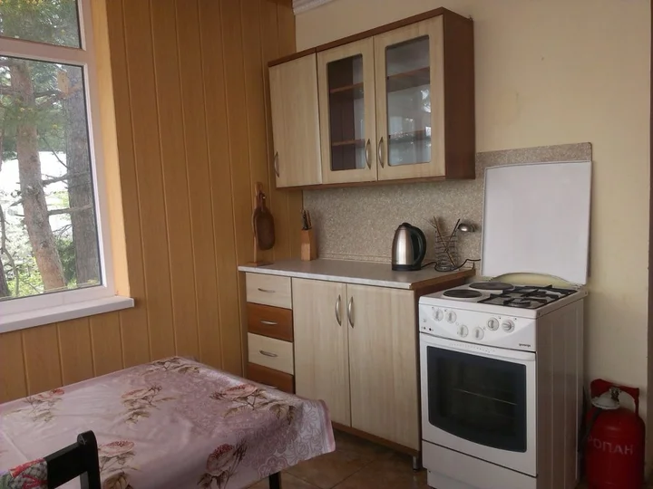 Понизовка: V Ponizovke Guest House