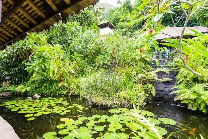 Канди Даса: The Water Garden Hotel Bali