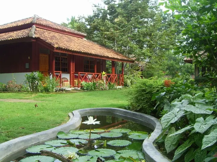 Satwa Sumatra Elephant Eco Lodge — фото 1