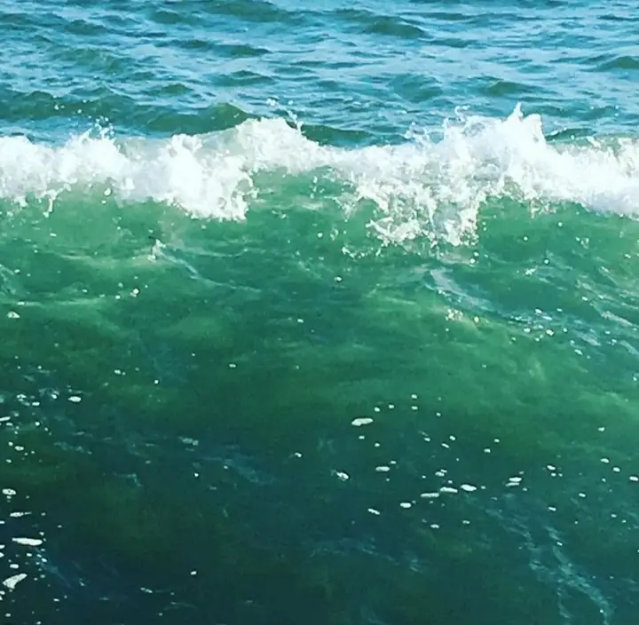 Гостевой дом У Петровича — фото 4