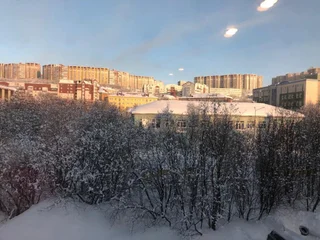 Мурманск: Квартира - Студия в центре города