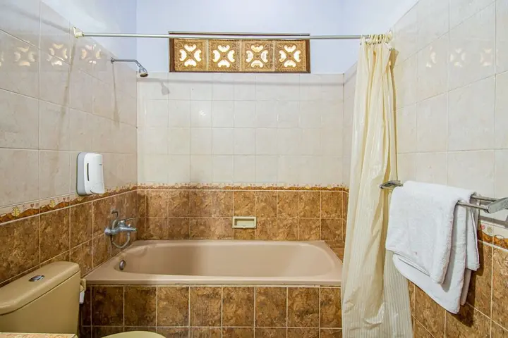 Санур Кайя: New Ananda Beach Hotel