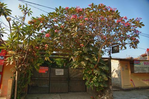 Депок: Budarno Homestay