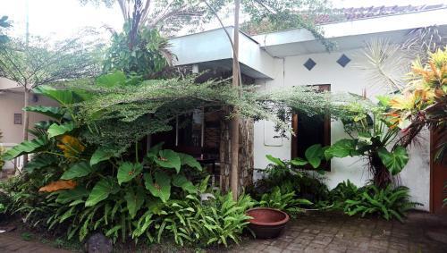 Депок: Budarno Homestay