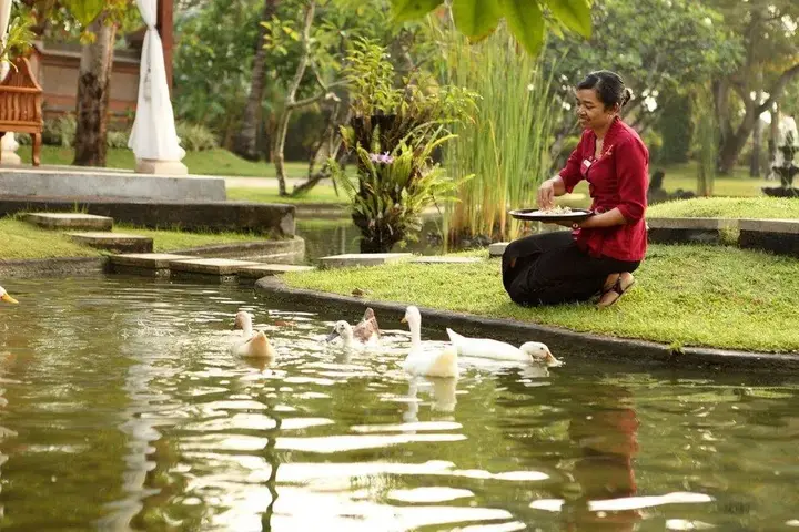 Беноа: Nusa Dua Spa