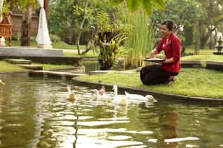 Беноа: Nusa Dua Spa