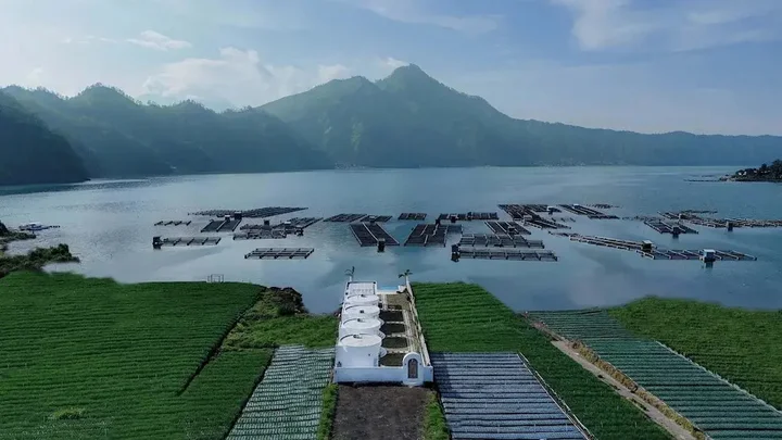 Кинтамани: Intan Lake View Kintamani