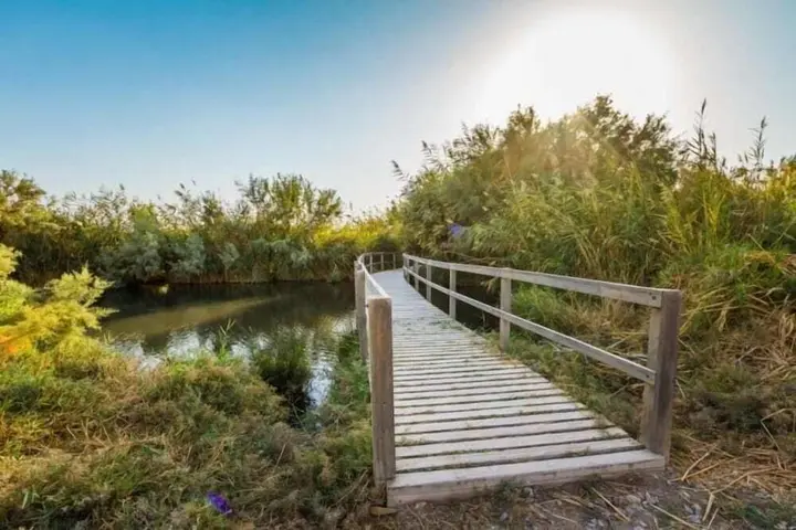 Аль-Азрак: Azraq Lodge