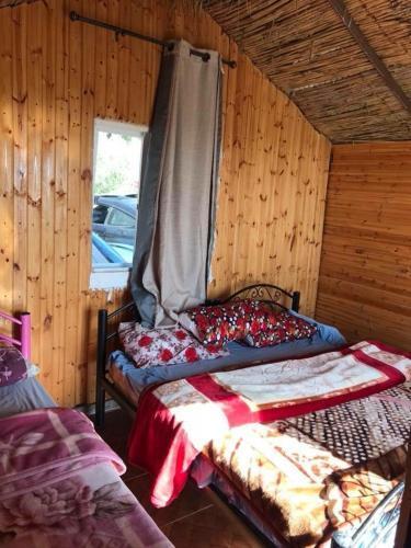 Джараш: Mount Birgish Eco Camp